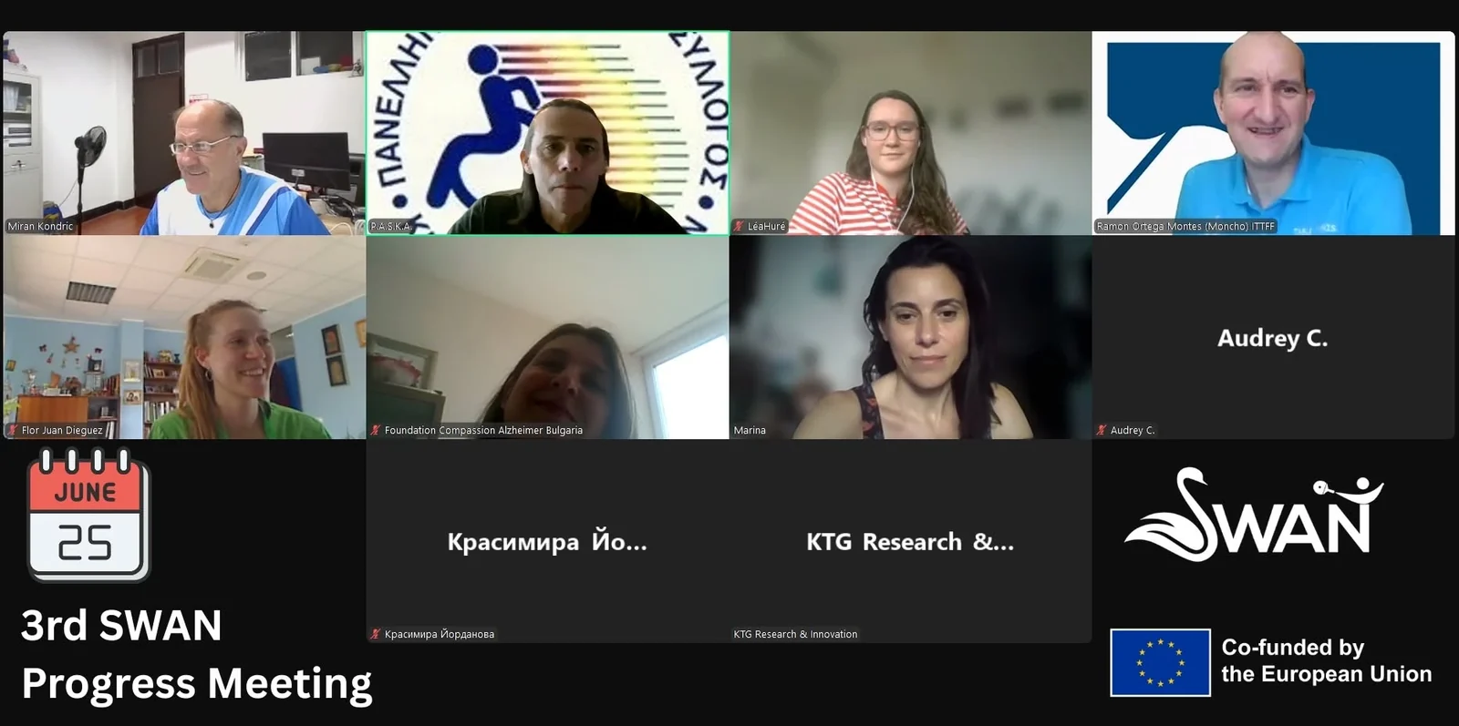 Partner representatives on the video call for the 3rd SWAN progress meeting